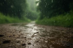 Warum ist der Regen-Geruch so angenehm? Ursachen und Erklärungen des Phänomens