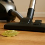 Warum ein Lorbeerblatt in den Staubsauger legen: ein einfacher Haushaltstrick